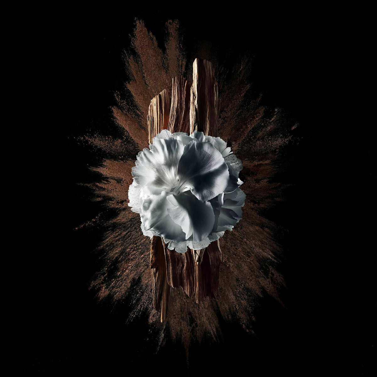 V4HD57BFFBA2AA917DD3D6BAA465CAA4794R5397790P5