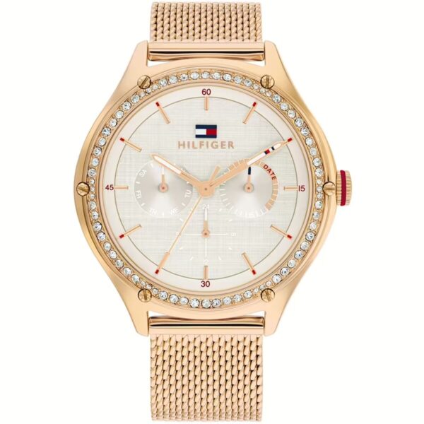 Montre Femme Tommy Hilfiger 1782653 (Ø 41 mm)