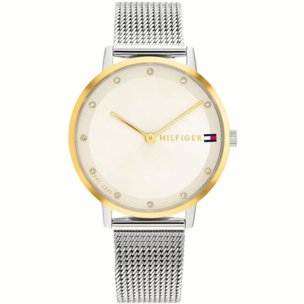 Montre Femme Tommy Hilfiger 1782667 (Ø 40 mm)