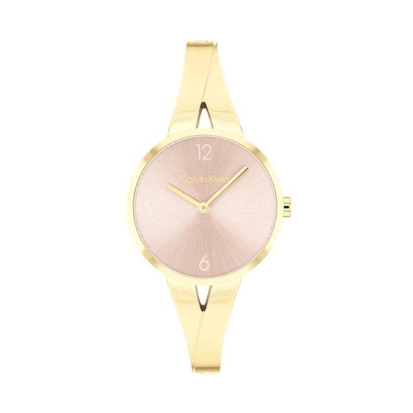 Montre Femme Calvin Klein 25100027